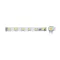 VITO RGBW LED szalag SMD5050 60LED/M 14.4 W/M 12V IP20 - 5540450