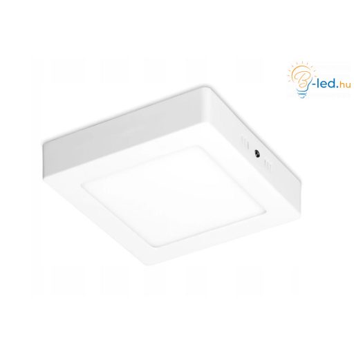 ML Orto Falon kívüli négyzet alakú LED panel 12W 4000K - ML1517
