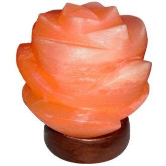   Rábalux Flores Beltéri lámpa meleg fehér E14 1x MAX 15 - RAB2676