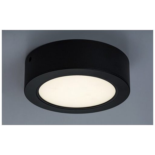 Rábalux Shaun Beltéri lámpa természetes fehér LED 12 - RAB2686