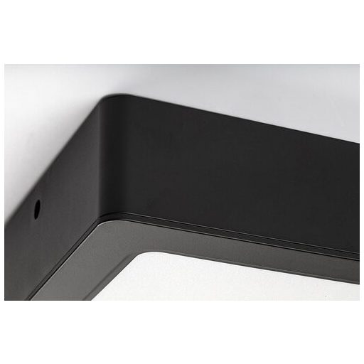 Rábalux Shaun Beltéri lámpa természetes fehér LED 12 - RAB2689