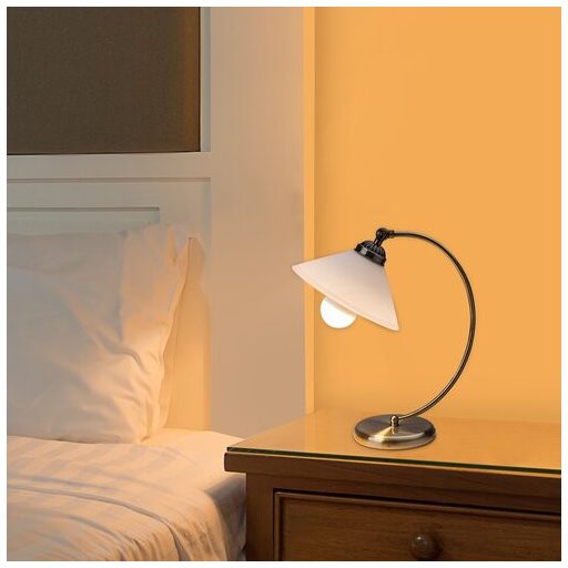 Rábalux Marian Beltéri lámpa  E27 1x MAX 60 - RAB2702