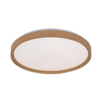   Rábalux Sherwood Beltéri lámpa változtatható LED 50 - RAB3500