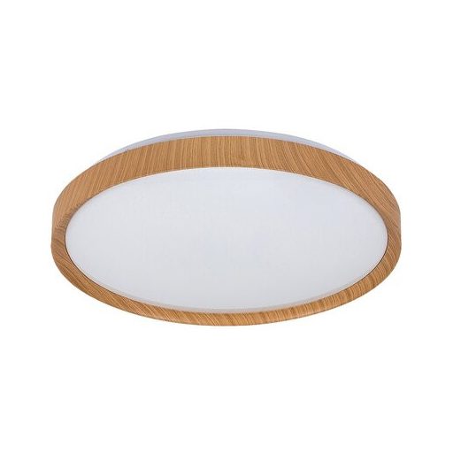 Rábalux Sherwood Beltéri lámpa változtatható LED 50 - RAB3500