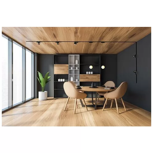 Rábalux LiTrack Pend.01W Sínrendszer meleg fehér LED 5 - RAB70109