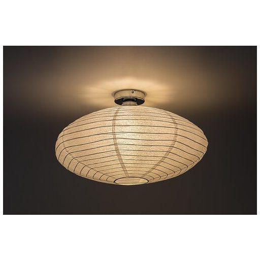 Rábalux Rinara Beltéri lámpa  max 40 - RAB71000