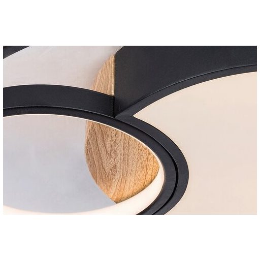 Rábalux Leola Beltéri lámpa változtatható LED 81 - RAB71044