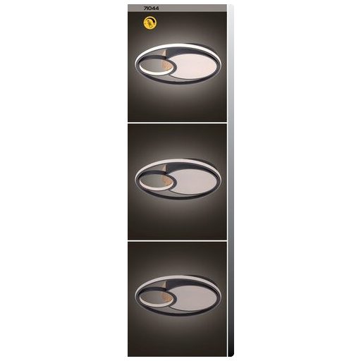 Rábalux Leola Beltéri lámpa változtatható LED 81 - RAB71044