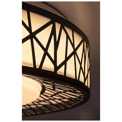 Rábalux Nilin Beltéri lámpa változtatható LED 48 - RAB71140