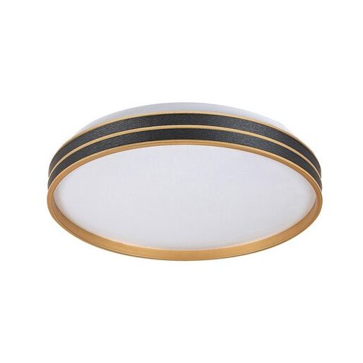 Rábalux Gandor Beltéri lámpa változtatható LED 24 - RAB71141