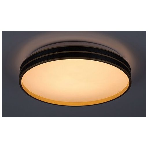 Rábalux Gandor Beltéri lámpa változtatható LED 24 - RAB71141