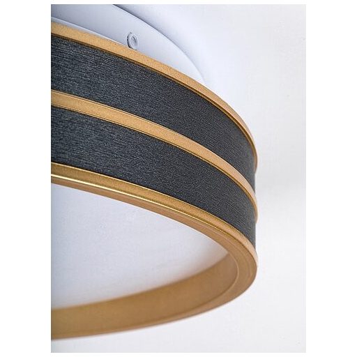 Rábalux Gandor Beltéri lámpa változtatható LED 24 - RAB71141