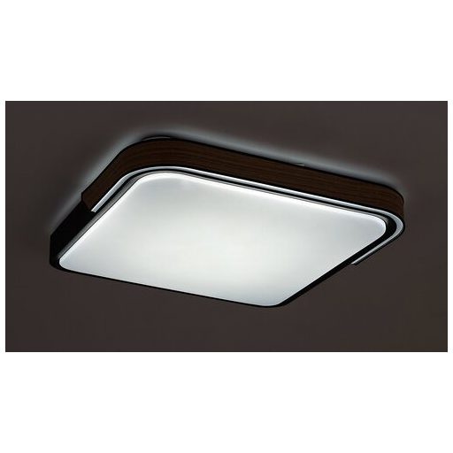 Rábalux Arild Beltéri lámpa változtatható LED 48 - RAB71146