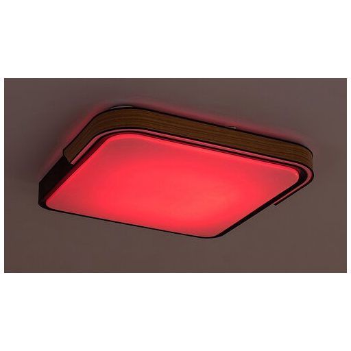 Rábalux Arild Beltéri lámpa változtatható LED 48 - RAB71146