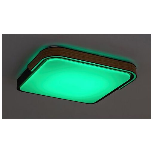 Rábalux Arild Beltéri lámpa változtatható LED 48 - RAB71146