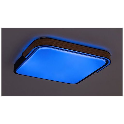 Rábalux Arild Beltéri lámpa változtatható LED 48 - RAB71146