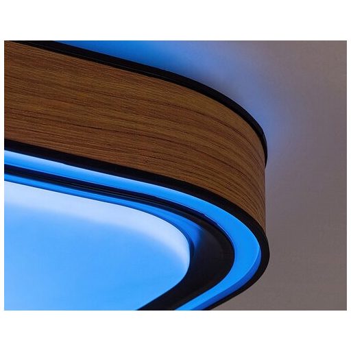 Rábalux Arild Beltéri lámpa változtatható LED 48 - RAB71146