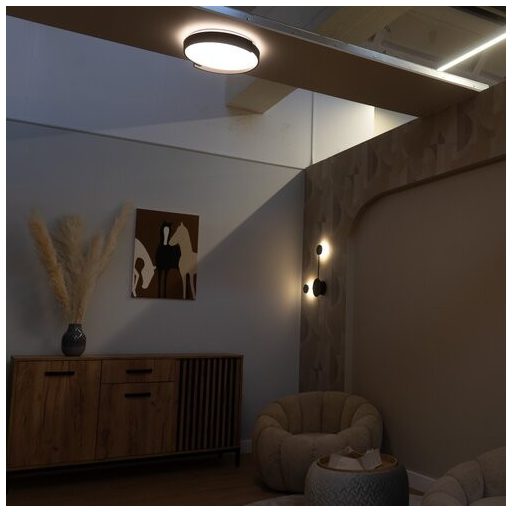 Rábalux Laleh Beltéri lámpa változtatható LED 24 - RAB71305