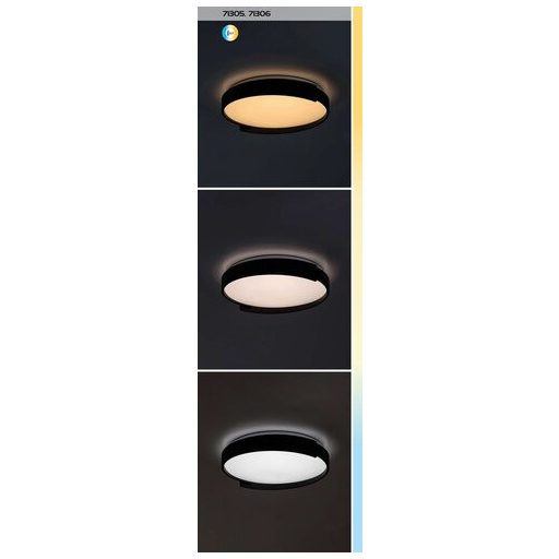 Rábalux Laleh Beltéri lámpa változtatható LED 48 - RAB71306