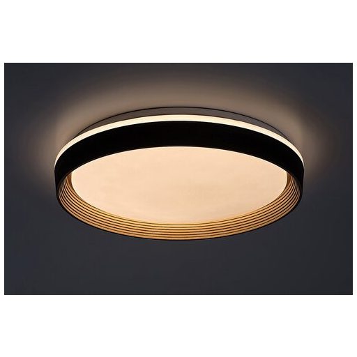 Rábalux Ladan Beltéri lámpa változtatható LED 48 - RAB71308