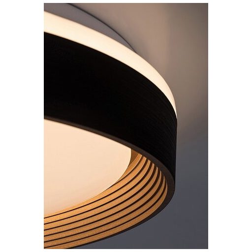 Rábalux Ladan Beltéri lámpa változtatható LED 48 - RAB71308