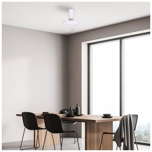 Rábalux Ovidia Beltéri lámpa meleg fehér LED 20 - RAB71328