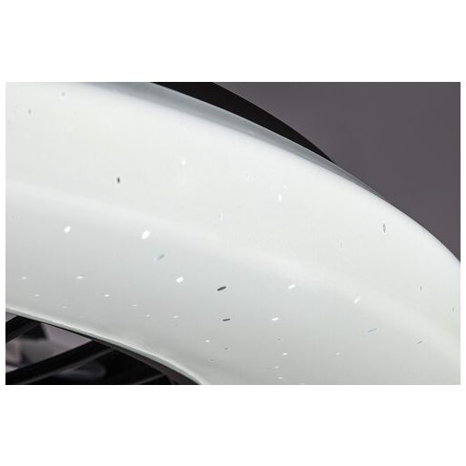 Rábalux Dalfon2 Beltéri lámpa változtatható LED 48 - RAB71329