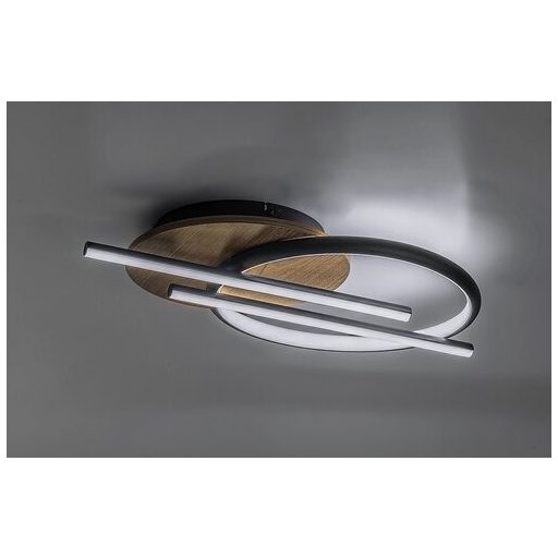 Rábalux Arash Beltéri lámpa változtatható LED 40 - RAB71404