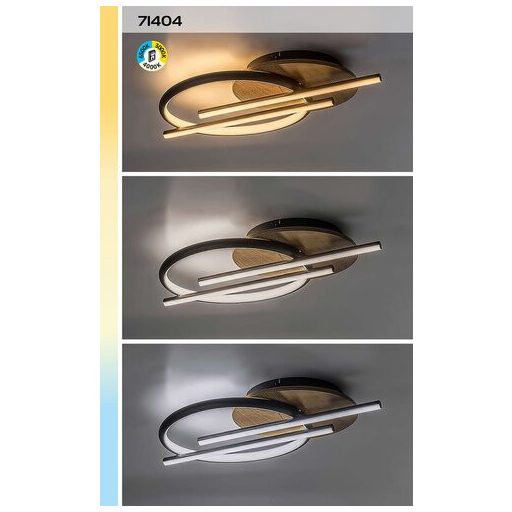 Rábalux Arash Beltéri lámpa változtatható LED 40 - RAB71404