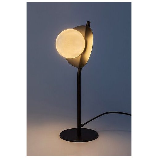 Rábalux Jules Beltéri lámpa  G9 1x MAX 5 - RAB74221