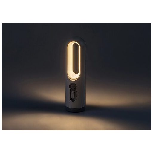 Rábalux Radko Beltéri lámpa változtatható LED 0,8 - RAB76108