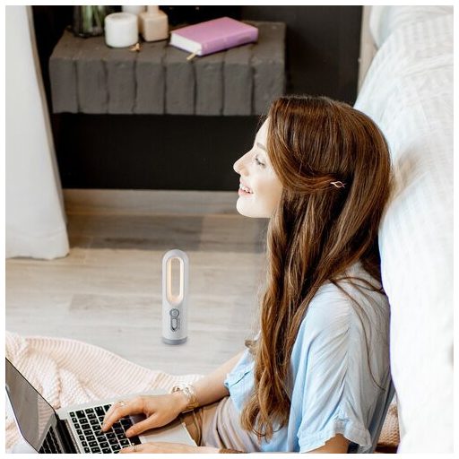 Rábalux Radko Beltéri lámpa változtatható LED 0,8 - RAB76108