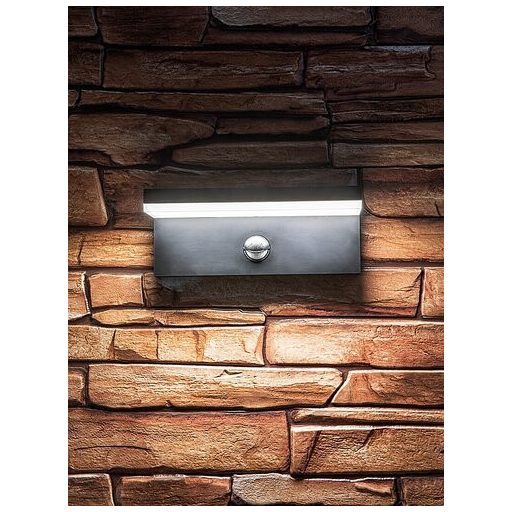 Rábalux Zaragoza Kültéri lámpa változtatható LED 9 - RAB77115