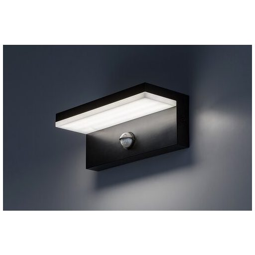 Rábalux Zaragoza Kültéri lámpa változtatható LED 9 - RAB77115