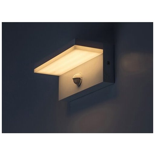 Rábalux Zaragoza Kültéri lámpa változtatható LED 9 - RAB77116