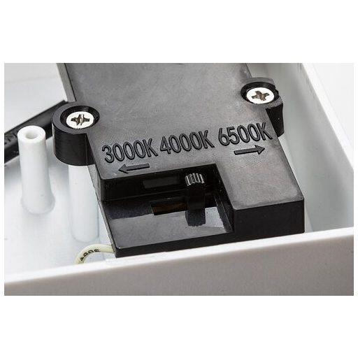 Rábalux Batida Kültéri lámpa változtatható LED 9 - RAB77118