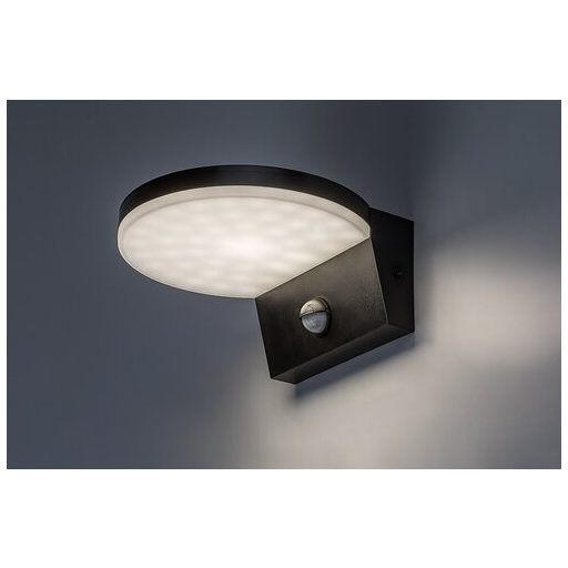 Rábalux Batida Kültéri lámpa változtatható LED 9 - RAB77119