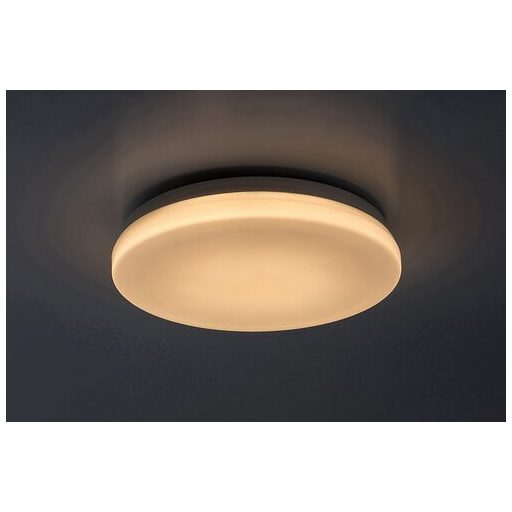 Rábalux Lowar Kültéri lámpa változtatható LED 12 - RAB77133