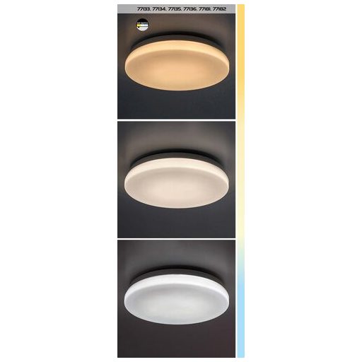 Rábalux Lowar Kültéri lámpa változtatható LED 36 - RAB77135