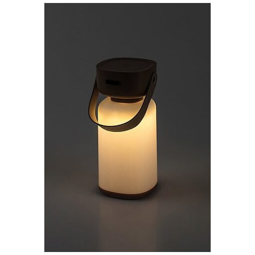 Rábalux Funes Kültéri lámpa változtatható LED 3 - RAB77143