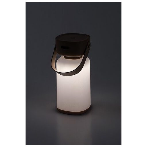 Rábalux Funes Kültéri lámpa változtatható LED 3 - RAB77143