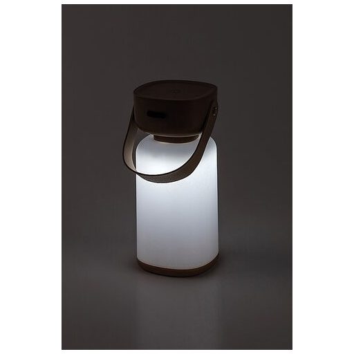 Rábalux Funes Kültéri lámpa változtatható LED 3 - RAB77143