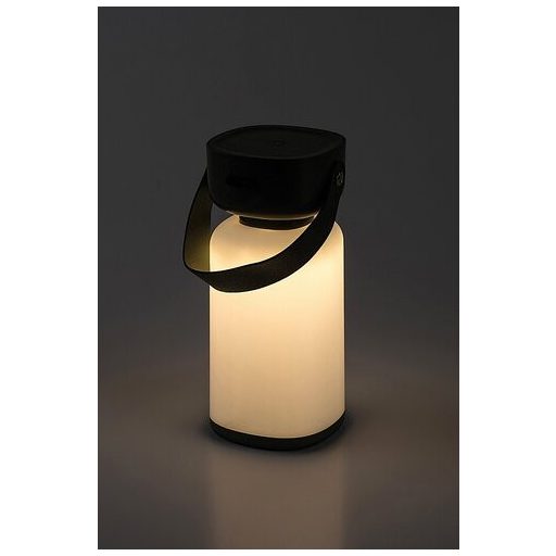 Rábalux Funes Kültéri lámpa változtatható LED 3 - RAB77144