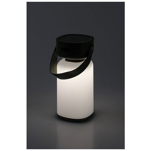 Rábalux Funes Kültéri lámpa változtatható LED 3 - RAB77144