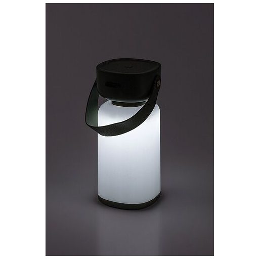 Rábalux Funes Kültéri lámpa változtatható LED 3 - RAB77144