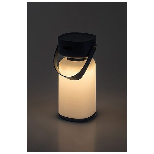 Rábalux Funes Kültéri lámpa változtatható LED 3 - RAB77145