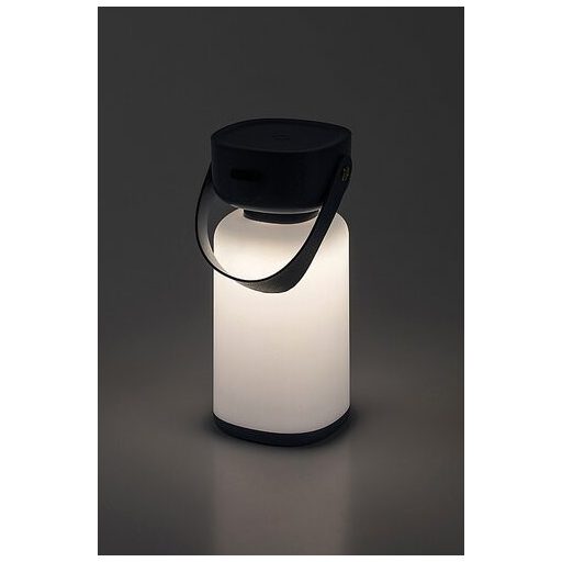 Rábalux Funes Kültéri lámpa változtatható LED 3 - RAB77145