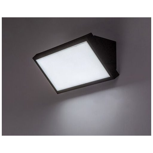 Rábalux Rapla2 Kültéri lámpa változtatható LED 18 - RAB77150