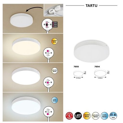 Rábalux Tartu Kültéri lámpa változtatható LED 24 - RAB7894