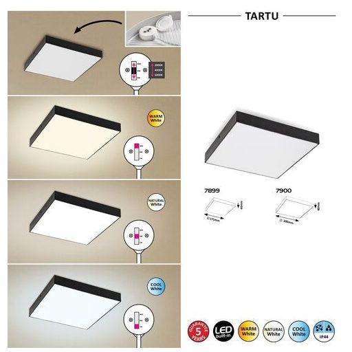 Rábalux Tartu Kültéri lámpa változtatható LED 24 - RAB7900